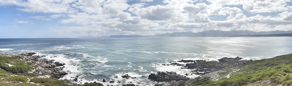 Whale Huys Luxury Oceanfront Eco Villa Gansbaai Zewnętrze zdjęcie