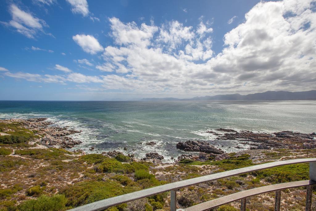 Whale Huys Luxury Oceanfront Eco Villa Gansbaai Zewnętrze zdjęcie
