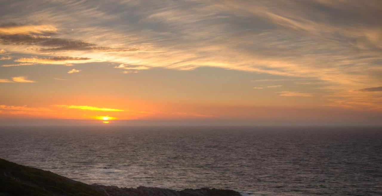 Whale Huys Luxury Oceanfront Eco Villa Gansbaai Zewnętrze zdjęcie